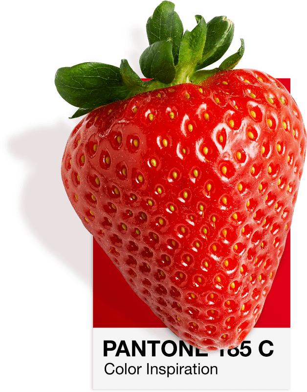 Morango na cartela de cores Pantone 185 C, o vermelho Vatra